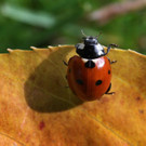 ABD0100-20131023.jpg