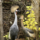 ABD0028-20131024.jpg