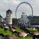 ABD0086-20131024.jpg