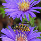 ABD0108-20131025.jpg