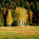 IMG_8611.jpg