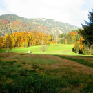 IMG_8614.jpg