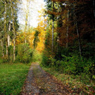 IMG_8615.jpg