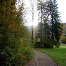 IMG_8616.jpg
