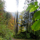 IMG_8617.jpg