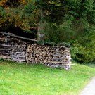 IMG_8624.jpg