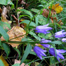 IMG_8626.jpg