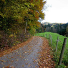 IMG_8628.jpg