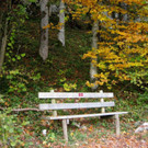 IMG_8640.jpg