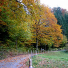 IMG_8641.jpg