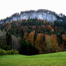 IMG_8642.jpg