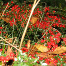 IMG_8646.jpg