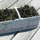 DSCN0873.jpg