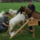 DSC06882.JPG