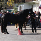 IMG_4413.JPG