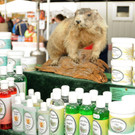 Markt Fu__ach 2013 68.jpg