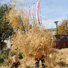 Markt Fu__ach 2013 240.jpg