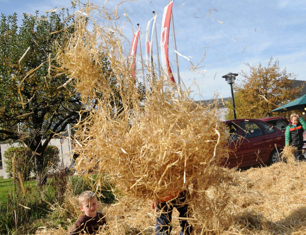 Markt Fu__ach 2013 240.jpg