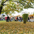 Markt Fu__ach 2013 338.jpg