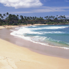 maui1.jpg