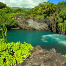 maui3.jpg