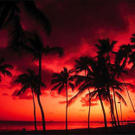 maui4.jpg