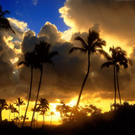 kauai2.jpg