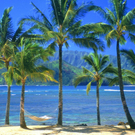 kauai5.jpg