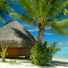 bora3.jpg