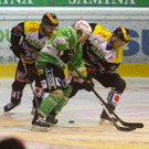 file6cg5qmvd288ygxg61rl.jpg