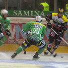 file6cg5qmxp4uerdgcc1rm.jpg
