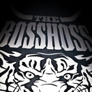 The BossHoss live in der Wiener Stadthalle