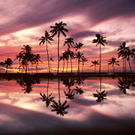 oahu2.jpg