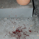 normal_21032010atriumwestzcaktivnews_3.jpg