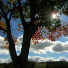 nature4.jpg