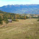 DSC_0068.jpg