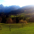 DSC_0086.jpg