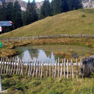 DSC_0054.jpg