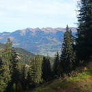 DSC_0060.jpg
