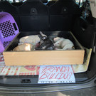 VIER PFOTEN_2013-07-21_016.JPG