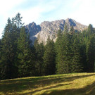 DSC_0051.jpg