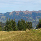 DSC_0064.jpg