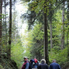 IMG_0447.jpg