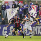 file6cfxpl6gsk61gu11c1rm.jpg