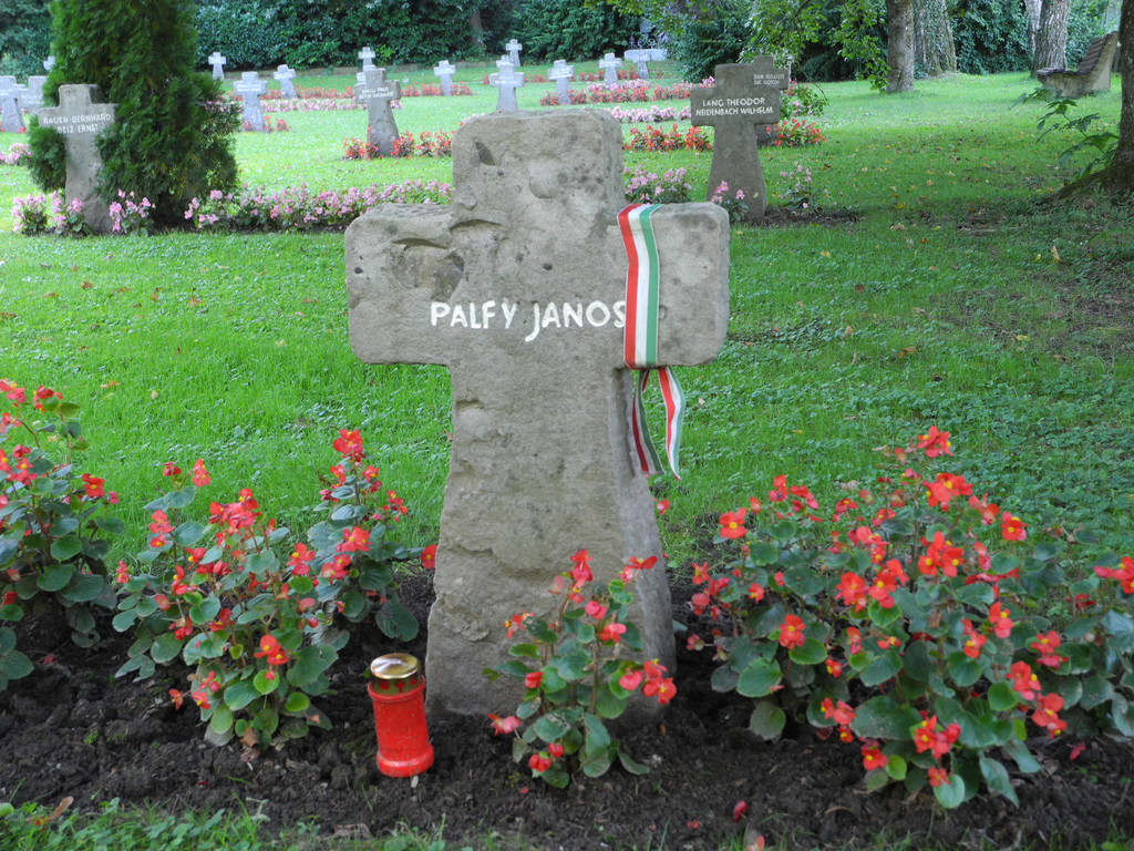 DSCN9731.JPG