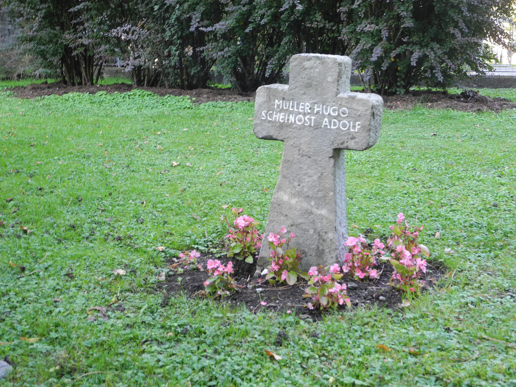 DSCN9737.JPG
