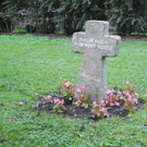DSCN9737.JPG