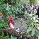 DSCN7149.JPG
