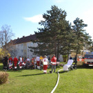 DSC_0058.jpg