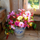 DSC06443.jpg